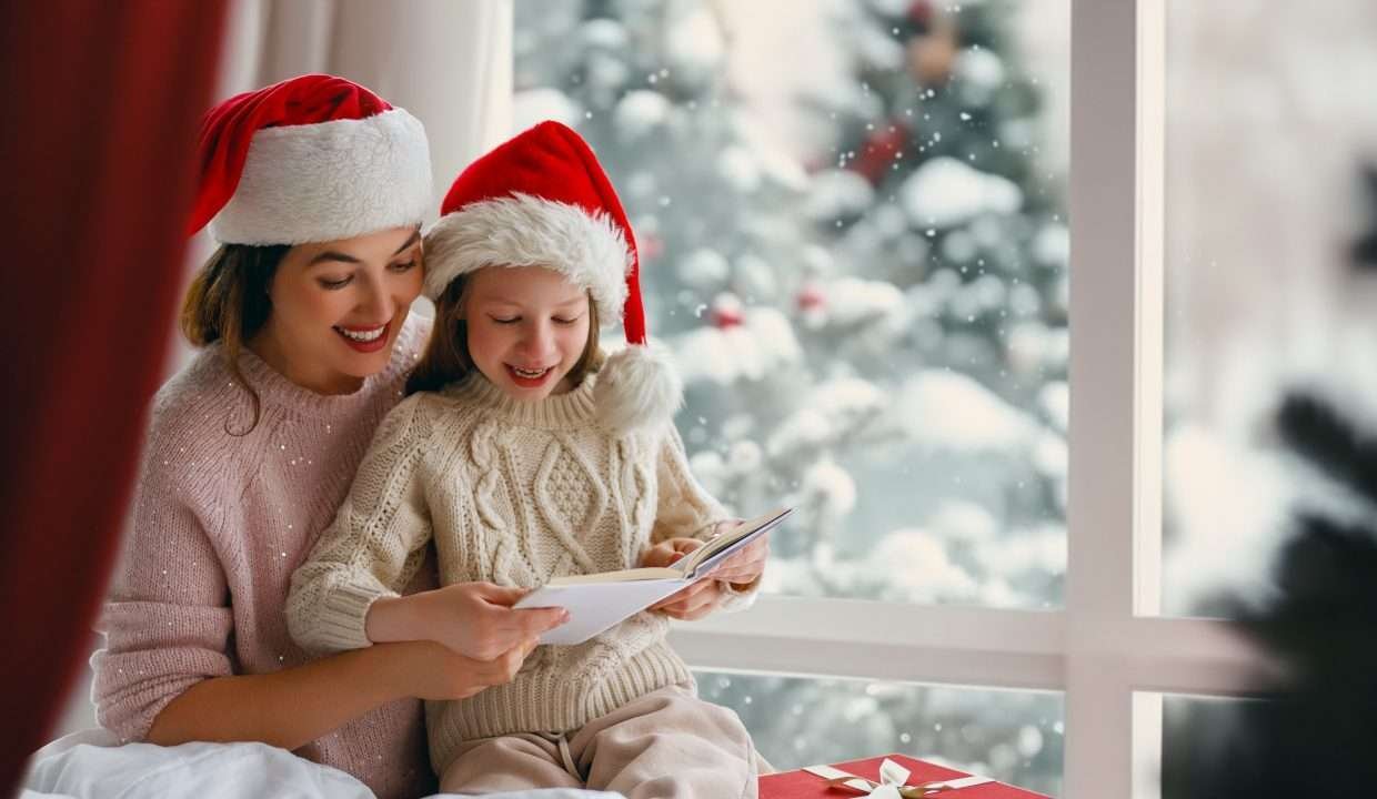 Alquiler de fincas de turismo navidad 1