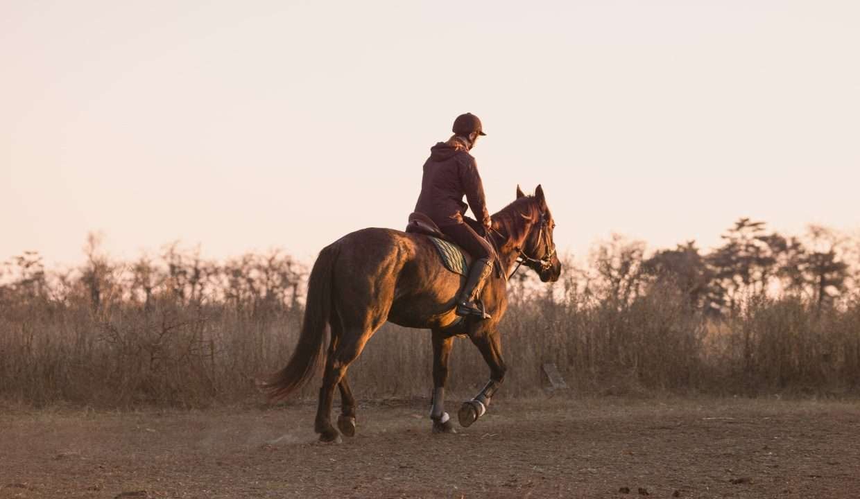actividad cabalgata fincas de turismo 19 min