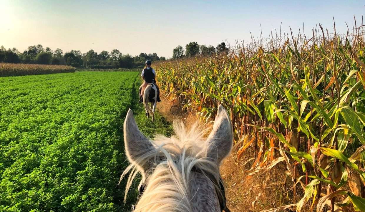 actividad cabalgata fincas de turismo 2 min