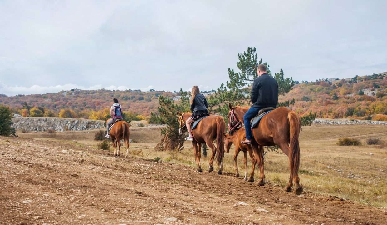 actividad cabalgata fincas de turismo 24 min