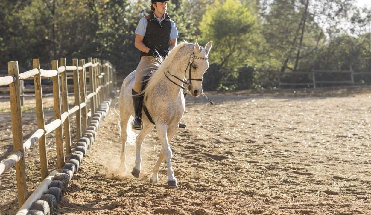 actividad cabalgata fincas de turismo 29 min
