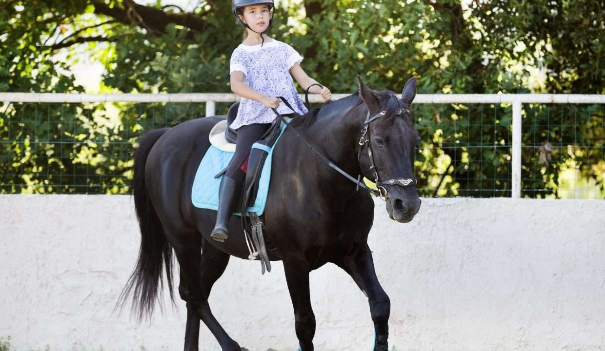 actividad cabalgata fincas de turismo 34 min