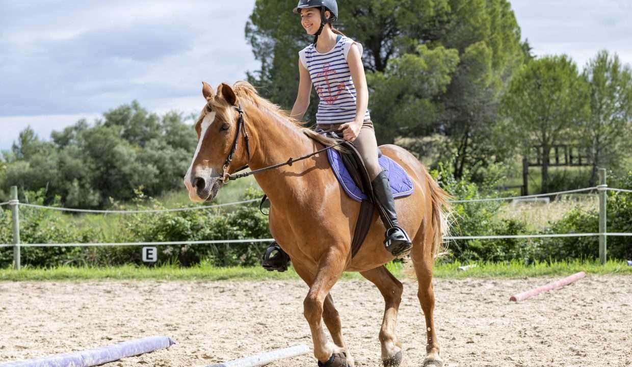 actividad cabalgata fincas de turismo 37 min