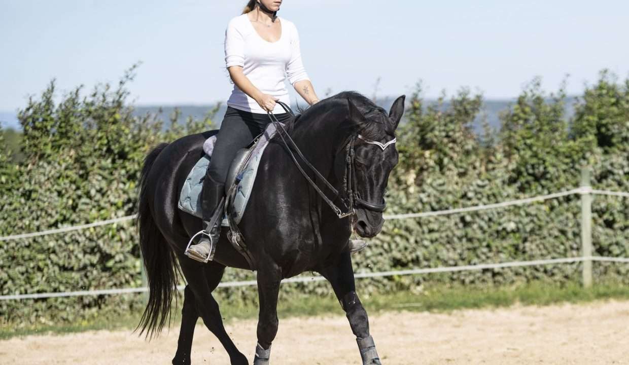 actividad cabalgata fincas de turismo 38 min