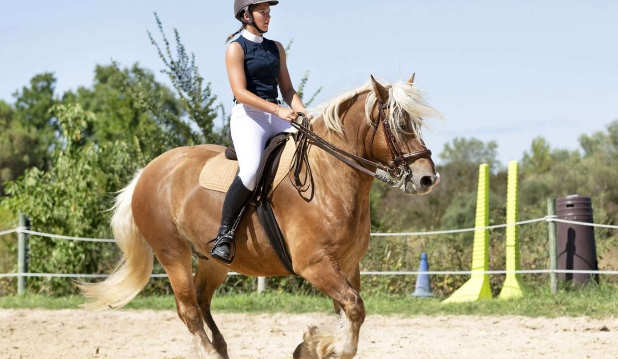 actividad cabalgata fincas de turismo 39 min