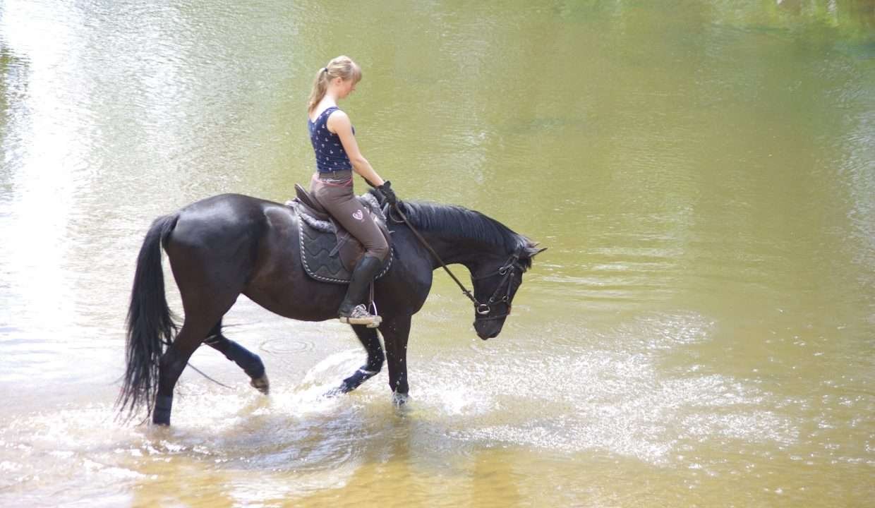 actividad cabalgata fincas de turismo 9 min