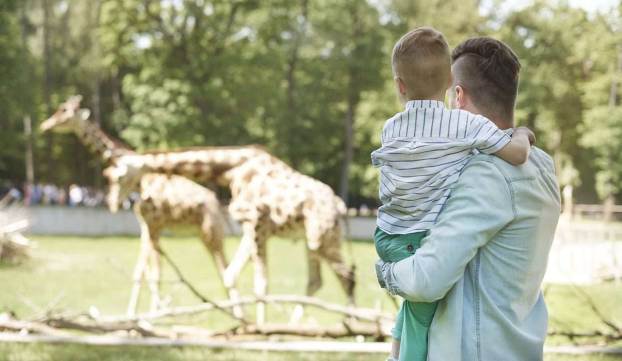 parque ukumari fincas de turismo min